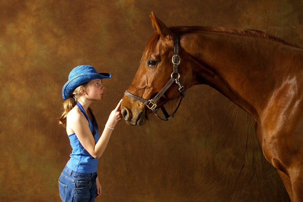 horse and girl